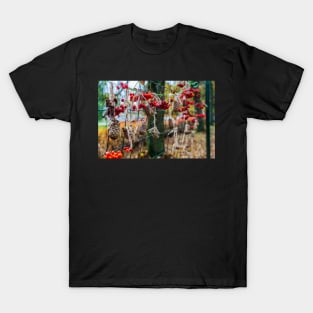 Cones and red dried rowan berries T-Shirt